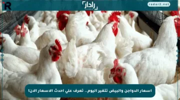 أسعار الدواجن والبيض تتغير اليوم.. تعرف على أحدث الأسعار الآن!